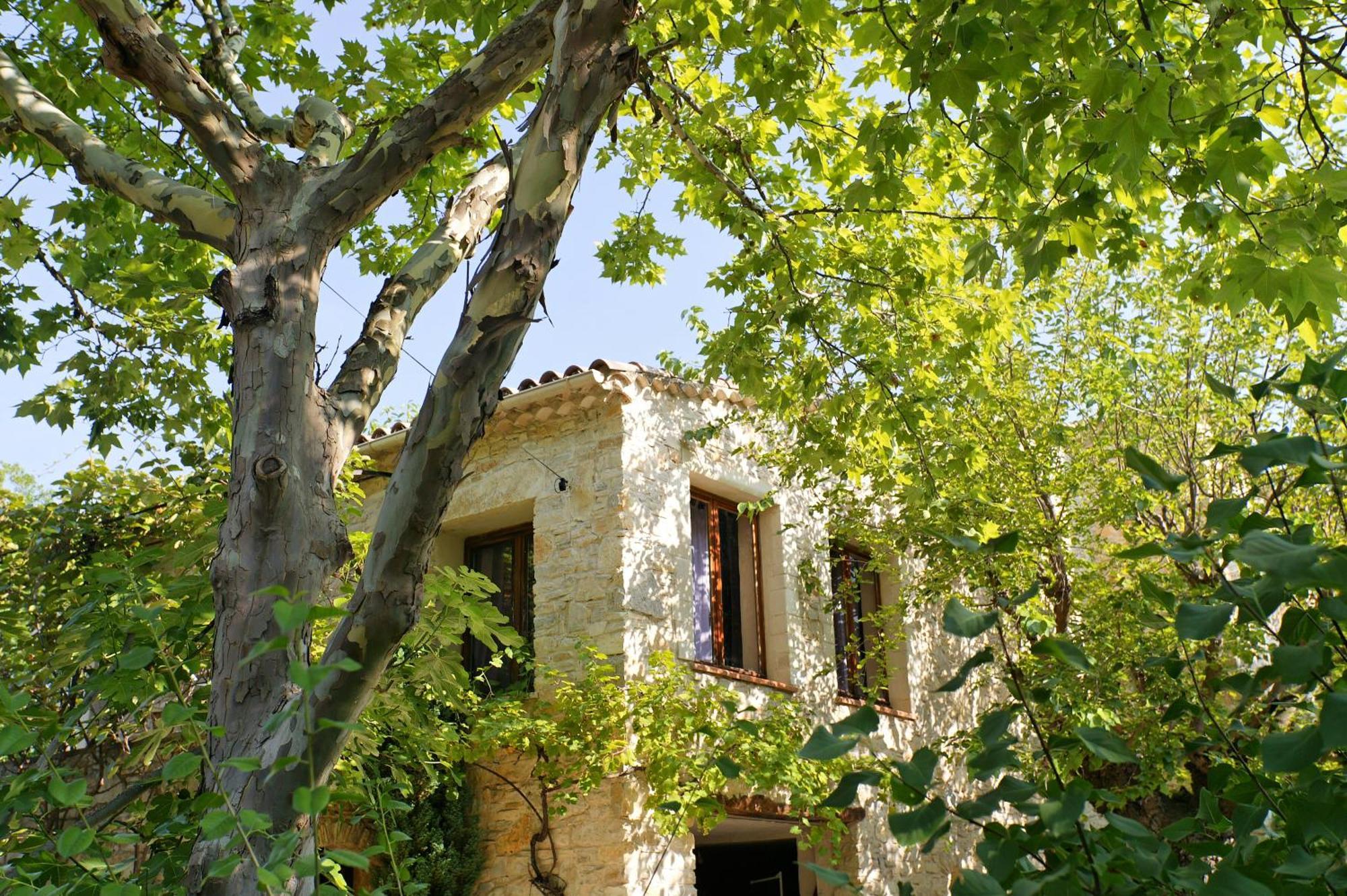 Les Maisons De Chante Oiseau Sigonce Εξωτερικό φωτογραφία