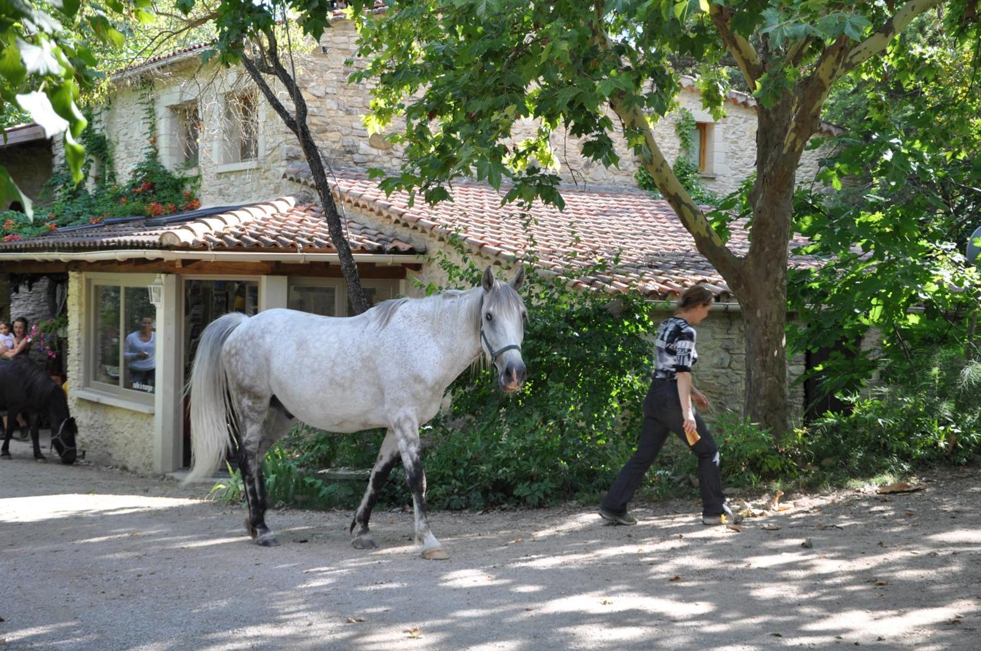 Les Maisons De Chante Oiseau Sigonce Εξωτερικό φωτογραφία