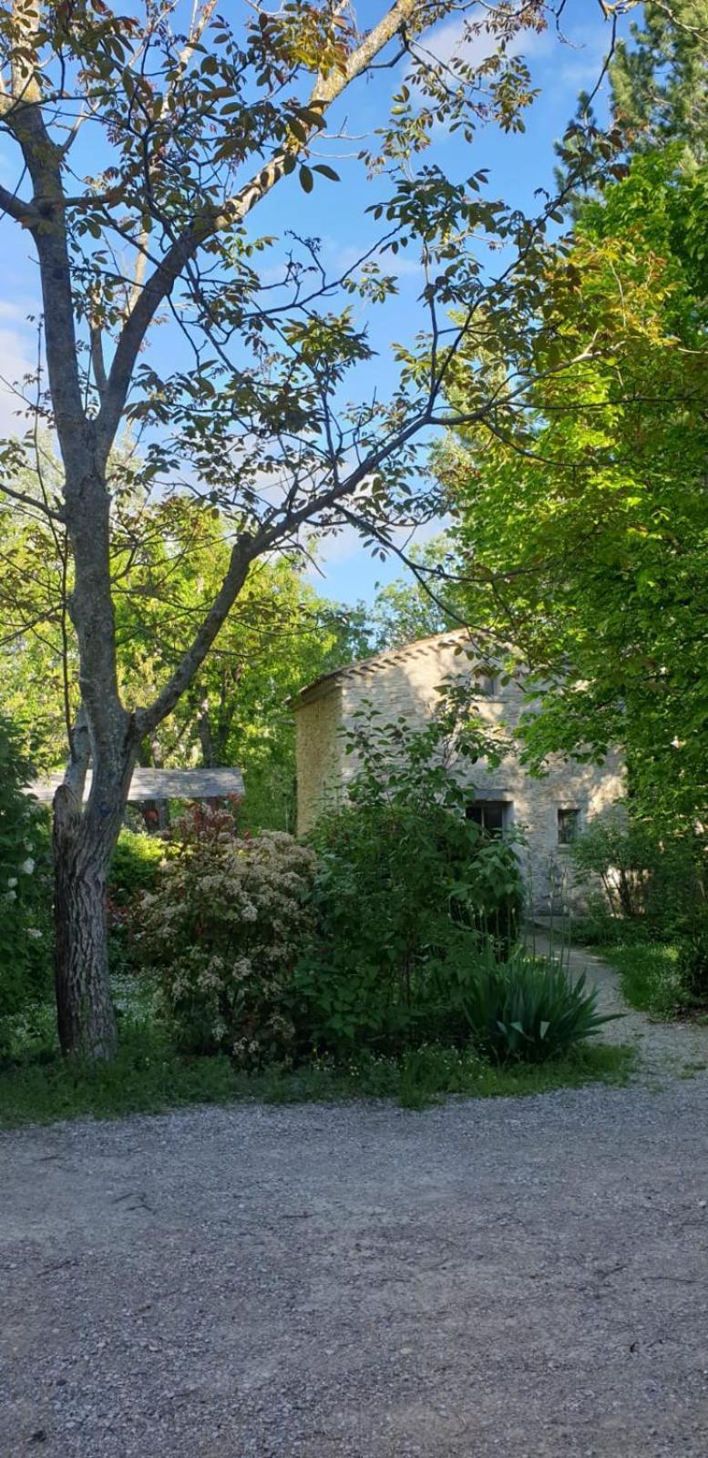 Les Maisons De Chante Oiseau Sigonce Εξωτερικό φωτογραφία