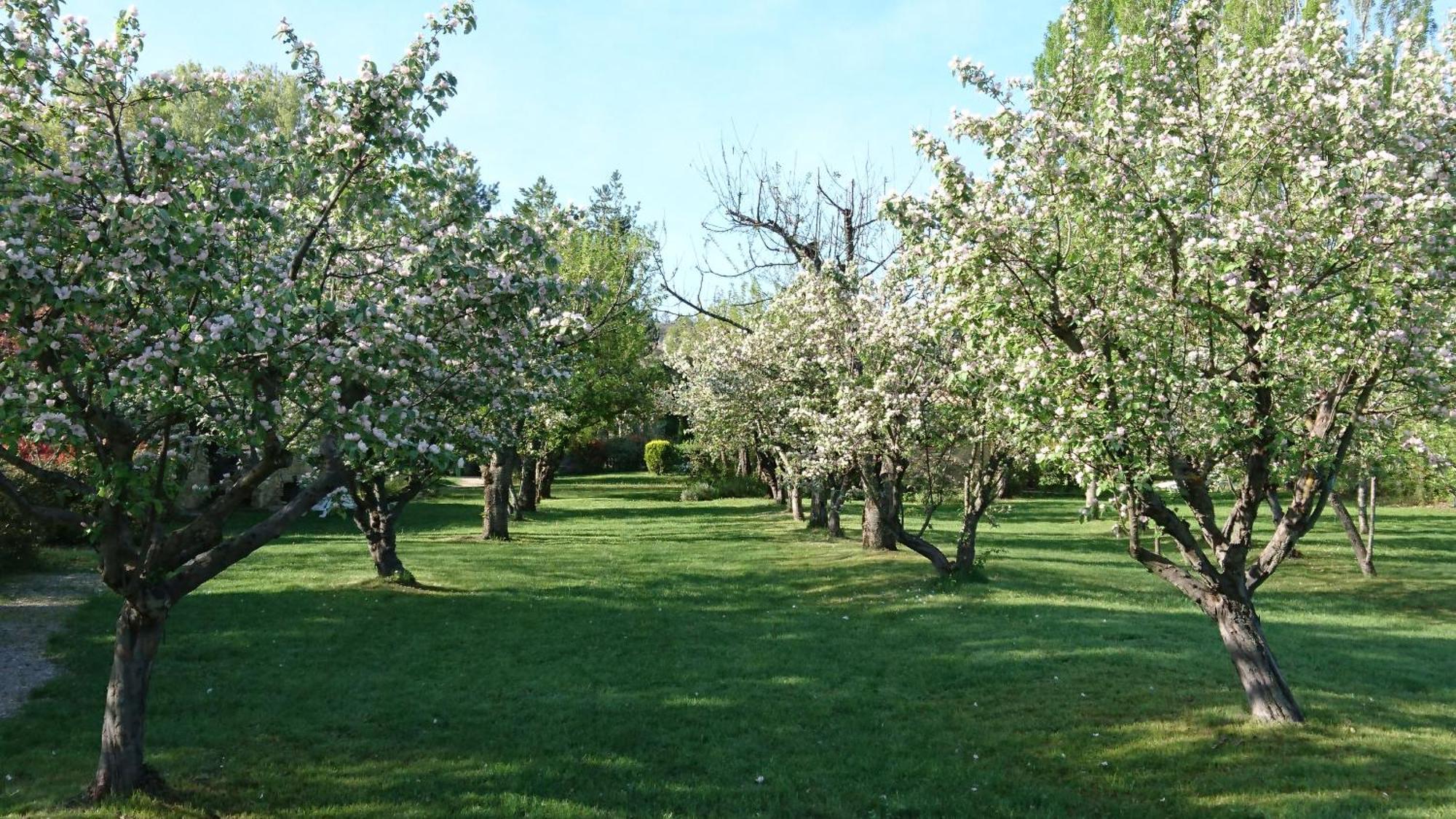 Les Maisons De Chante Oiseau Sigonce Εξωτερικό φωτογραφία